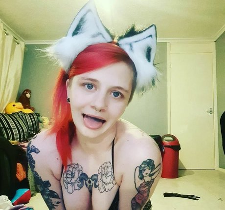 dinkytoy estrella superior foto