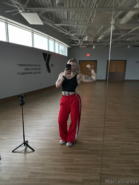 fans exclusivos de celebridades arte erótico imágenes