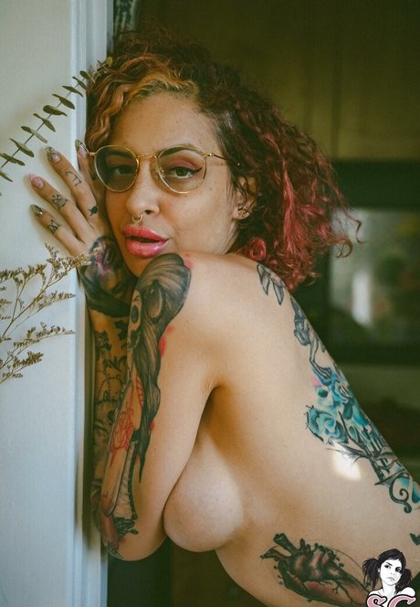 Vanp estrella porno caliente recopilación