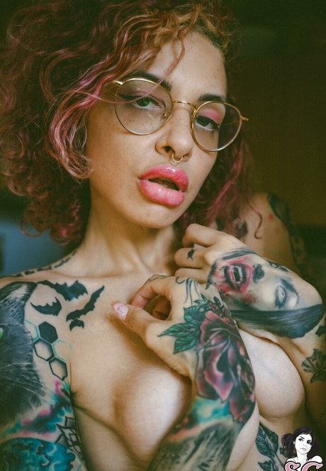 Vanp mejor estrella foto