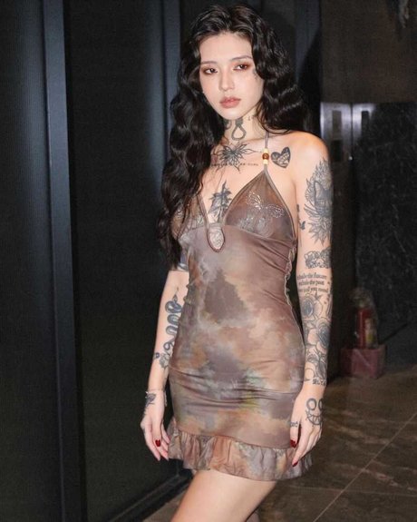 Andy blossom estrella superior galería