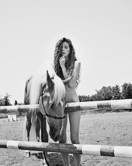 Daniel Shtayman libre de estrellas archivo