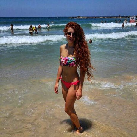 Daniel Shtayman arte estelar galería