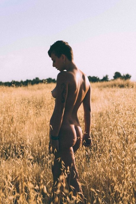 Tohar Frie estrella agradable archivo