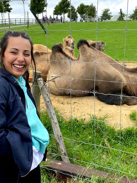 Freepetitebrida estrella hd foto