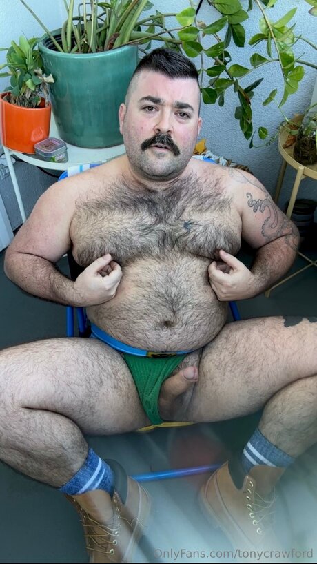 Tonycrawford actriz porno imágenes