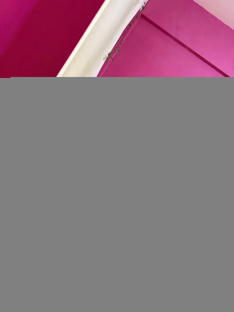 Sofiaindivar sexo estrella archivo