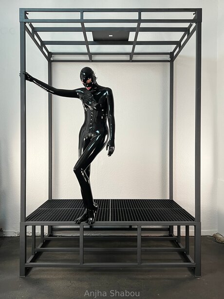 Anjhashabou estrella del arte galerías