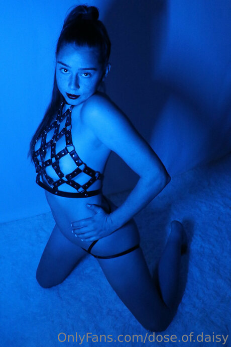 Dose Of Daisy desnudos de estrellas archivo