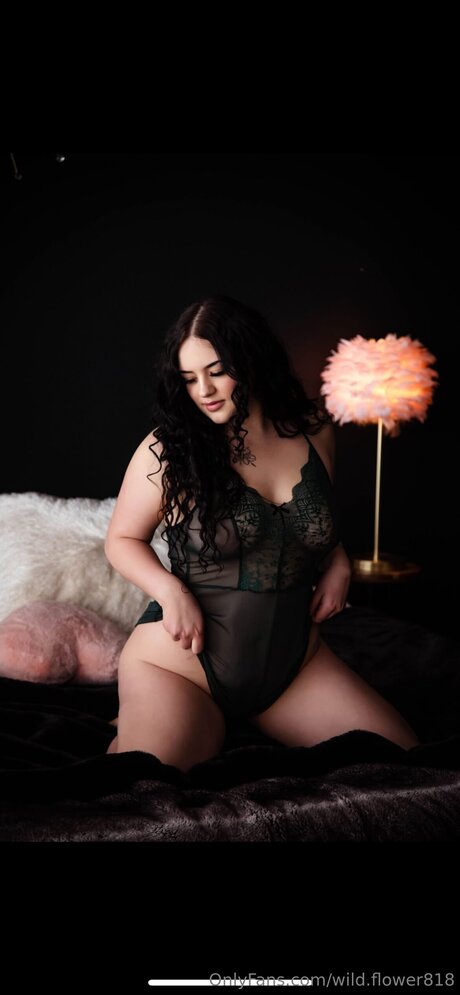 Wild Flower818 hermosa estrella galería