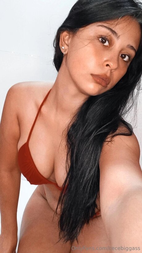 Cecebiggass mejor modelo archivo