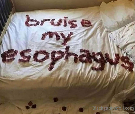 gabbyfox free modelo mejor imagen