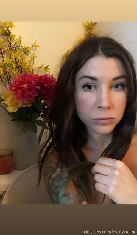 felicityfeline Fotoaufnahmen
