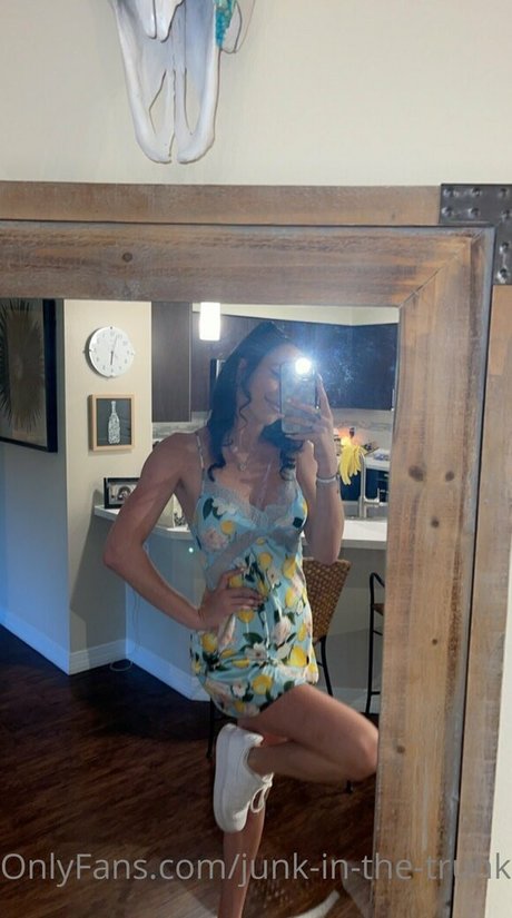 elleventures modelo atractivo recopilación