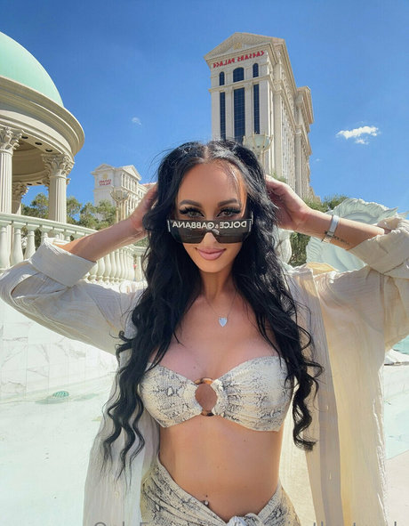 elleventures modelo superior imágenes