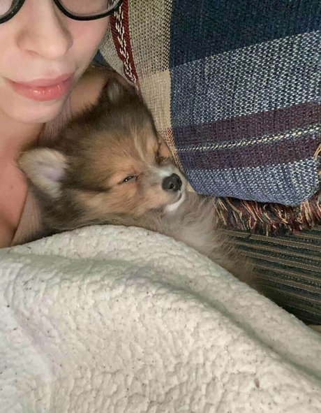 solo fans sentados en la cara hd galerías