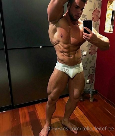 cello leitefree actriz erótica recopilación