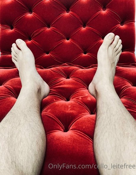 cello leitefree Profilfoto