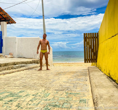 cello leitefree estrella adulta recopilación