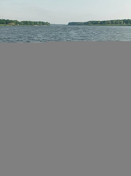 Elizawhite90 desnudos de estrellas foto