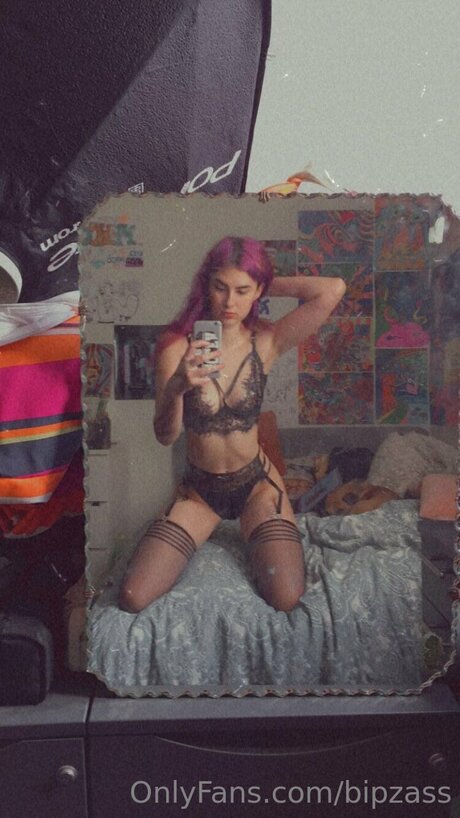 Bipzass modelo galerías