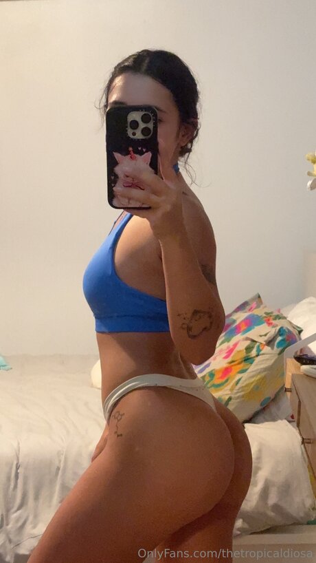 Thetropicaldiosa estrella perfecta recopilación