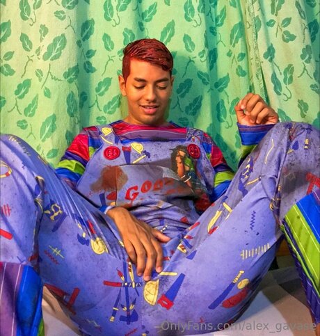 Alex Gavase estrella galería