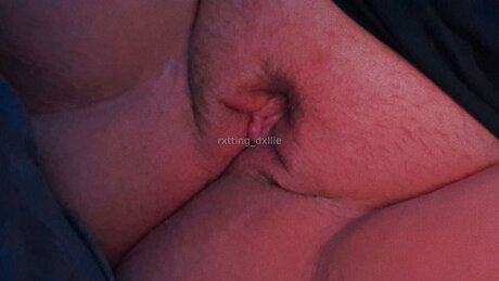 Puppyrolls estrella del sexo fotos