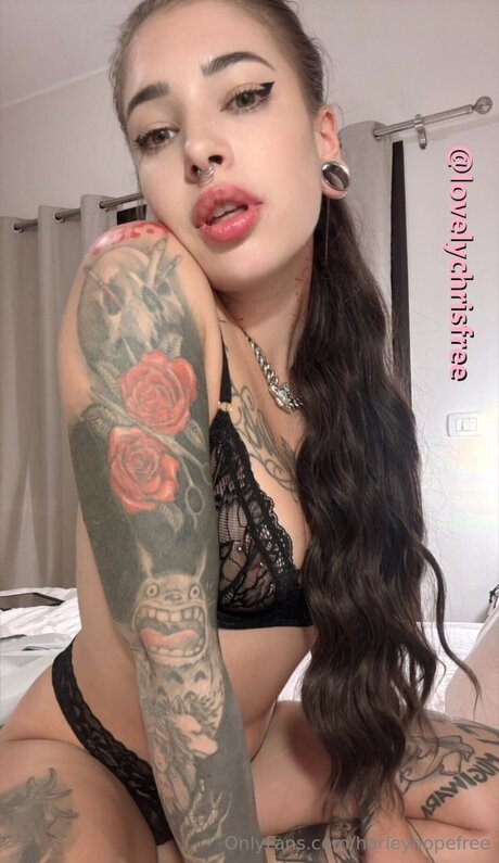 Harleyhopefree estrella superior galería