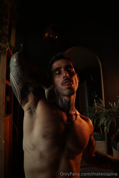 Mateospina actriz de arte recopilación