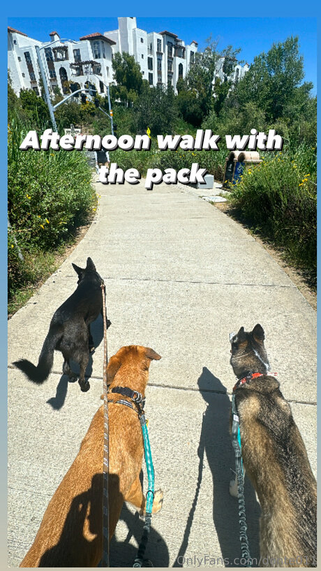 Donte011 buena estrella porno imágenes