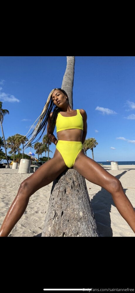 Saintannefree estrella de alta calidad imagen