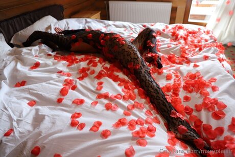 Maryplaisir estrella exclusiva recopilación