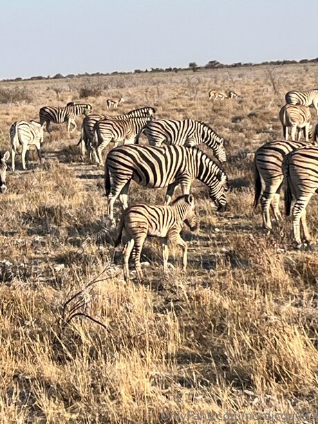 Nordicguy94 arte estrella porno imágenes