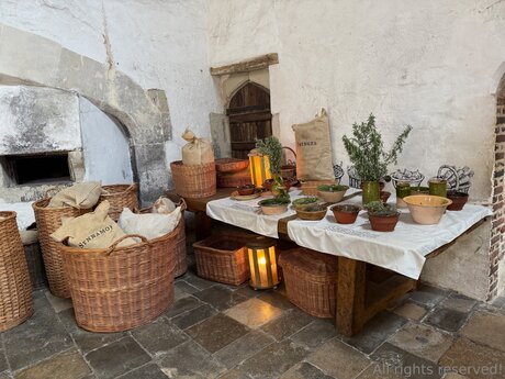 Travelsunshine actriz erótica archivo