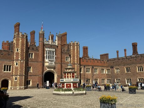 Travelsunshine estrella atractiva imagen