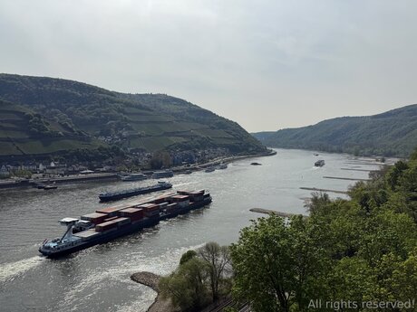 Travelsunshine sexo estrella porno imagen