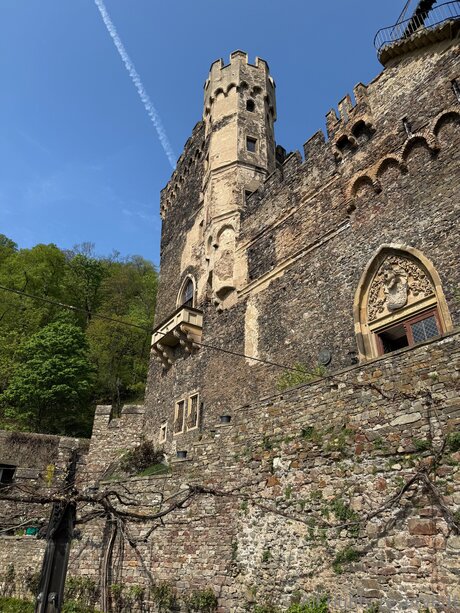 Travelsunshine desnudos de estrellas porno foto