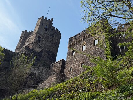 Travelsunshine arte modelo imágenes