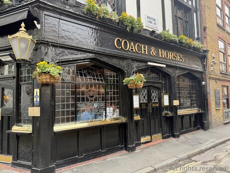 Travelsunshine estrella porno hermosa galería