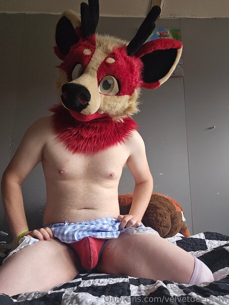 Velvetdeernsfw estrella porno adulto imagen