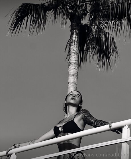 Bad Bunn sexo estrella porno recopilación