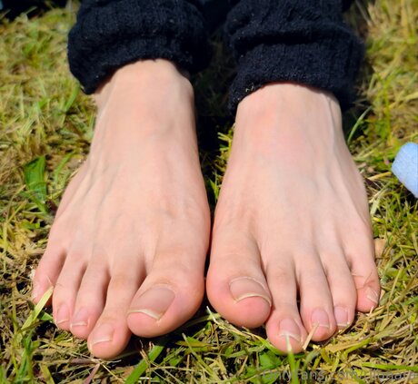 Rilunara estrella adulta galerías