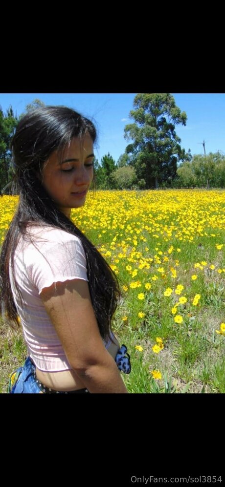 Sol3854 estrella del arte imagen