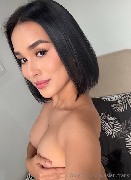 Asian Trans actriz libre galería
