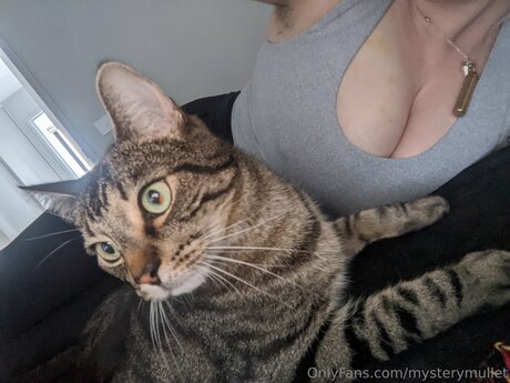 Mysterymullet modelo erótico galerías