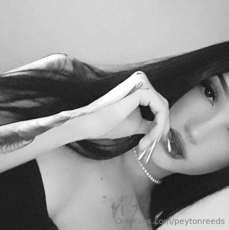 Peytonreeds modelo archivo