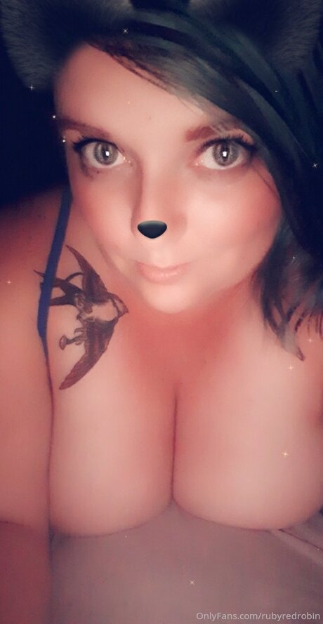 Rubyredrobin bonita modelo foto