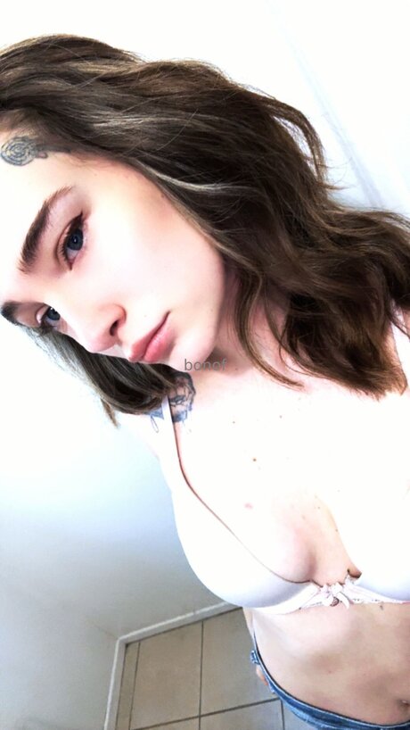 Bonof modelo de arte imágenes