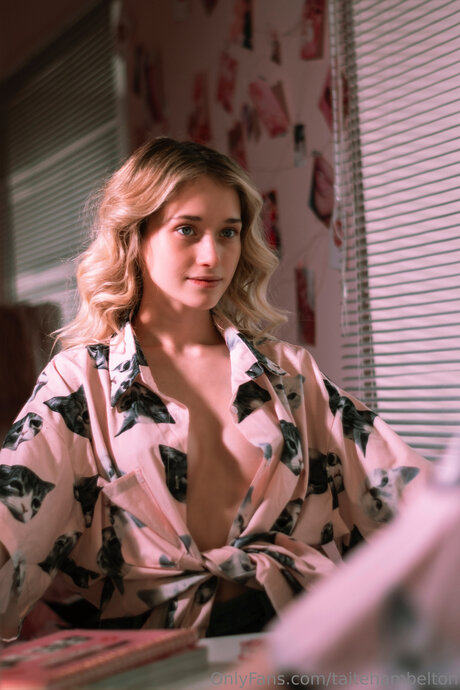 Taitehambelton estrella de alta calidad foto